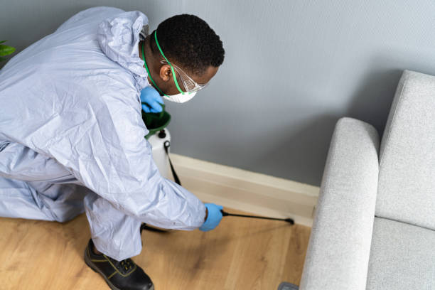 Professional Pest Control in Gibbsboro, NJ